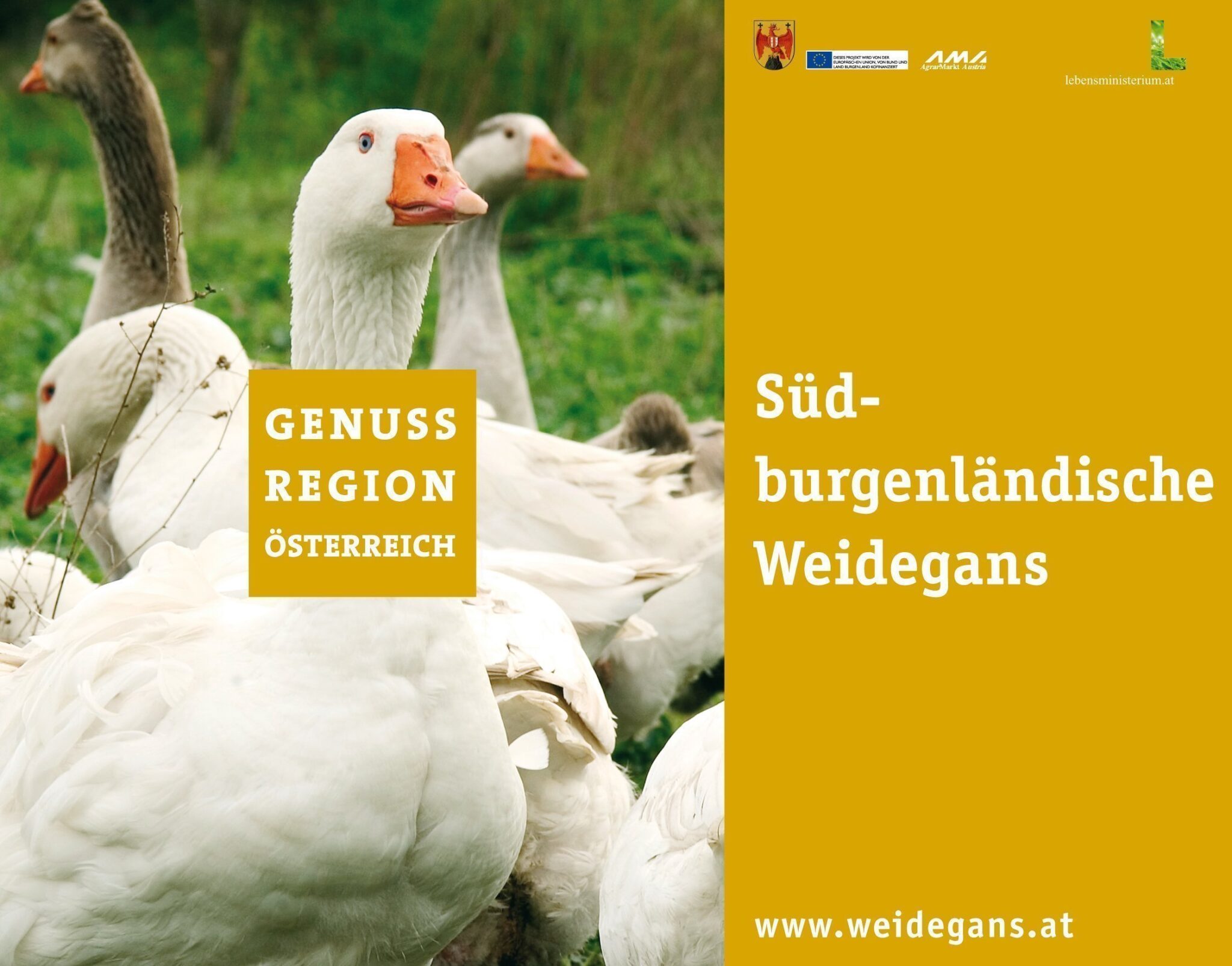 MEINEWEIDEGANS-PARTNER GENUSSREGION SÜDBURGENLÄNDISCHE WEIDEGANS