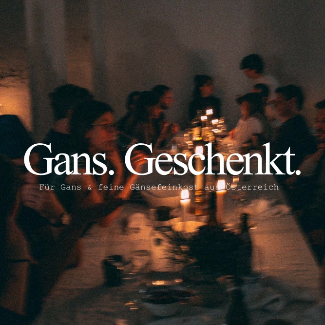 mWG-Gutschein-Vorschau mwg-Gutschein