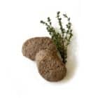 Gänse-Butterschnitzel