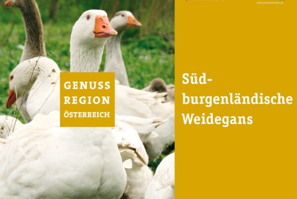 MEINEWEIDEGANS-PARTNER GENUSSREGION SÜDBURGENLÄNDISCHE WEIDEGANS