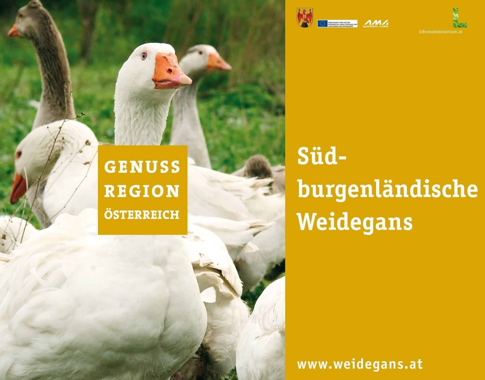 MEINEWEIDEGANS-PARTNER GENUSSREGION SÜDBURGENLÄNDISCHE WEIDEGANS