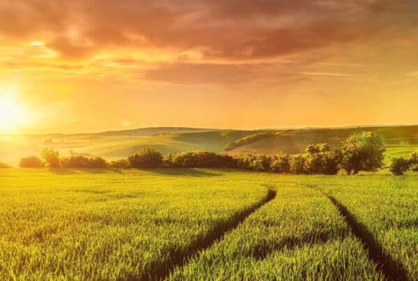 GANS.ERLESEN Gans.Erlesen